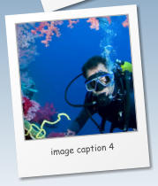image caption 4